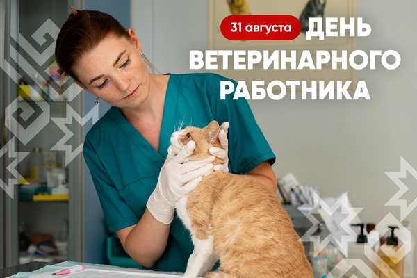 59b000fd760a4e939cd3d9aa6d23da88