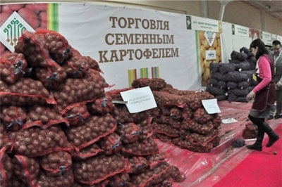 Более 25 перспективных сортов картофеля можно будет приобрести в дни работы выставки "Картофель-2019"
