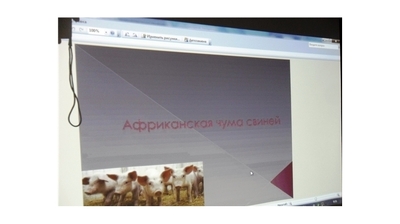 Ветеринарные специалисты Моргаушского района обсудили эпизоотическую ситуацию на территории Чувашской Республики