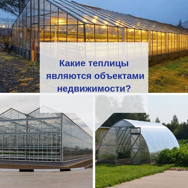 Теплицы